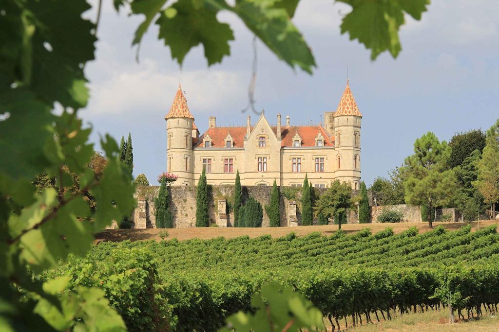 Chateau Moncassin Leyritz-Moncassin Екстер'єр фото